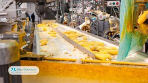 una catena di produzione alimentare industriale