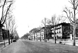 Viale Matteotti Firenze